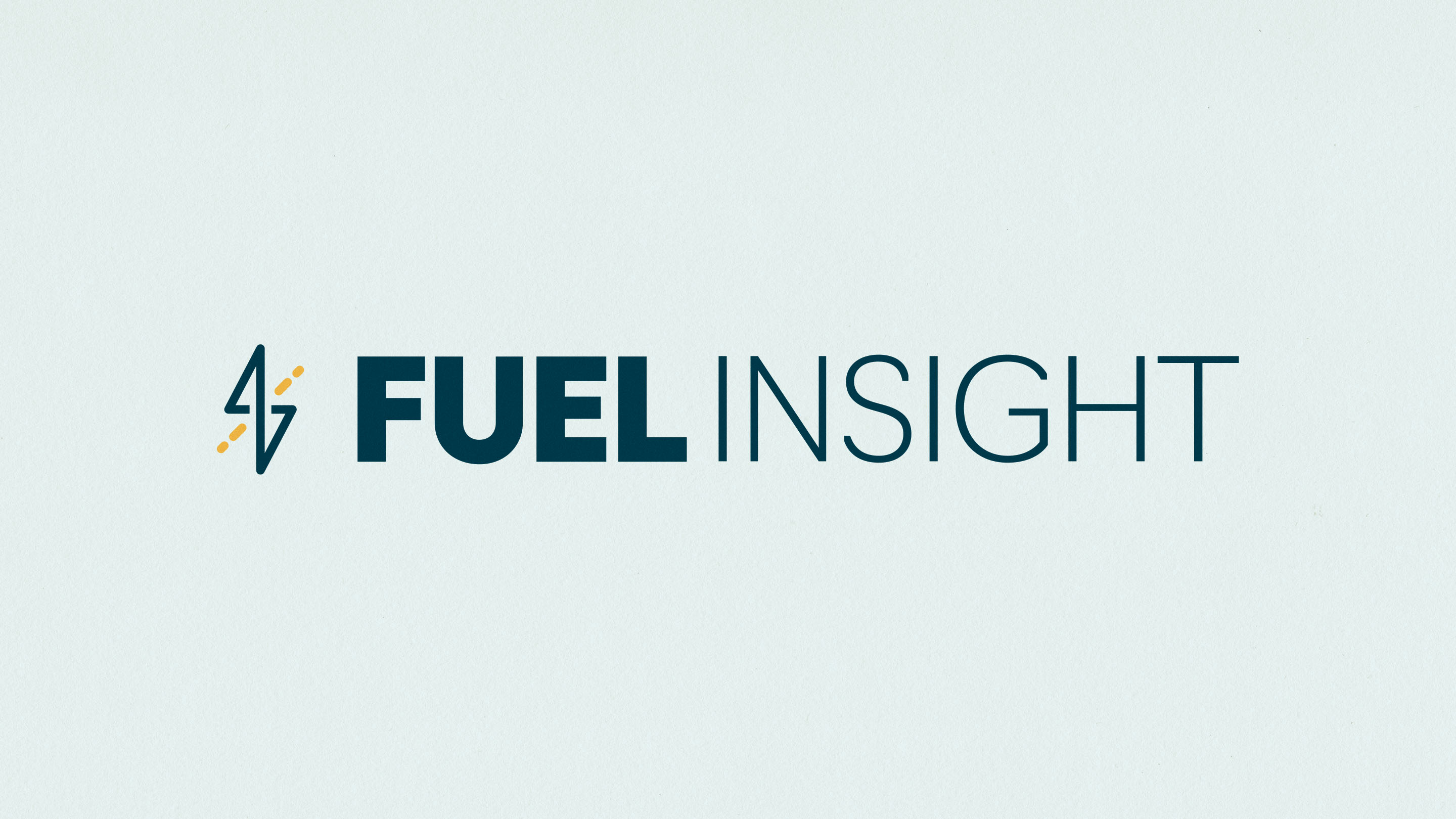 Fuel Insight Branding - Primary Logo